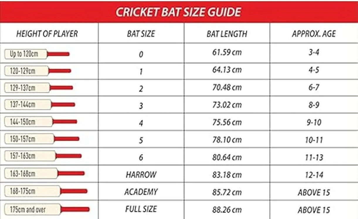 DSC Wildfire Flare Cricket Bat – Short Handle | Kashmir Willow | Power Hitting Edition